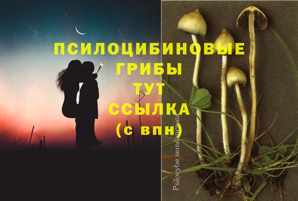 мдма Михайловск